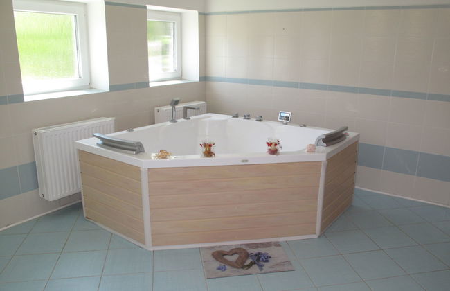 Casa de 7 quartos em Mistrovice com jardim e sauna - Foto 8