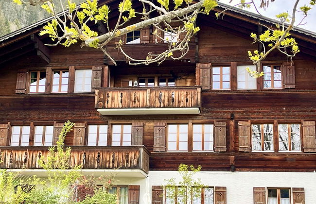 Apartamento de 1 quarto em Zweisimmen - Foto 1
