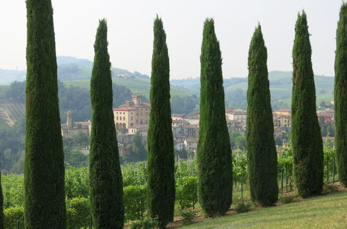 Photo 20 - Maison de 2 chambres à Barolo avec jardin et terrasse