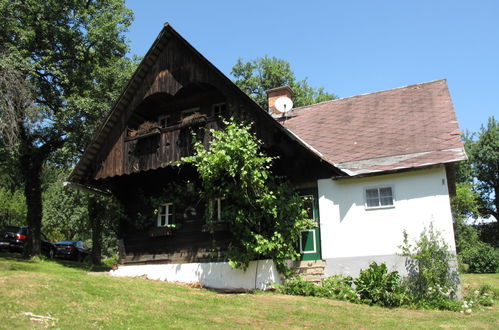 Photo 11 - Maison de 1 chambre à Bad Schwanberg avec jardin