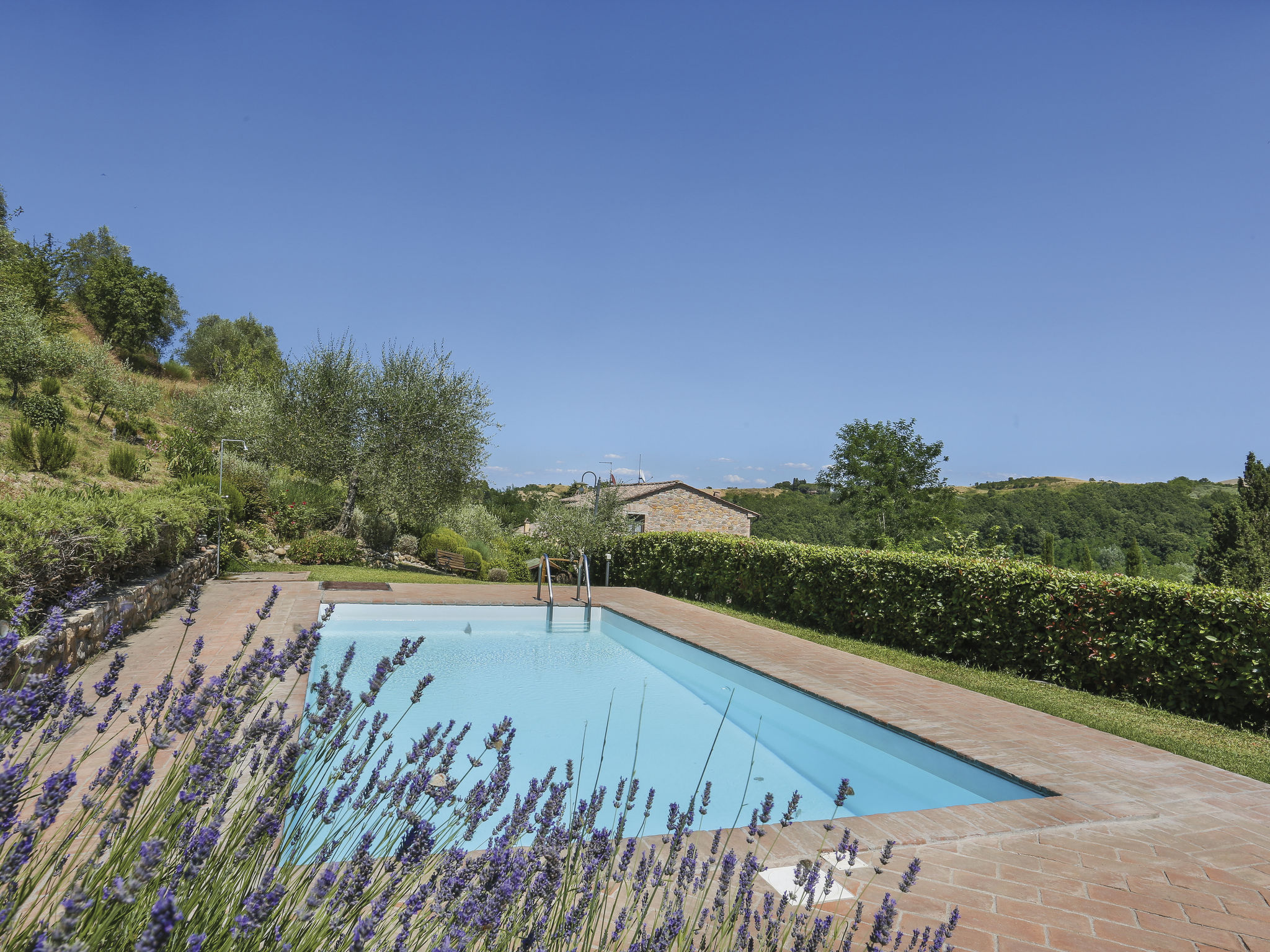 Photo 20 - Maison de 3 chambres à Montaione avec piscine privée et jardin