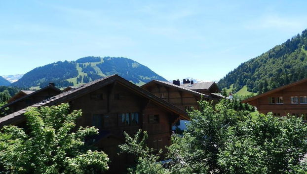 Appartamento con 1 camera da letto a Saanen - Foto 5