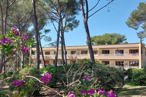 Foto 15 - Apartamento de 2 habitaciones en Sanary-sur-Mer con terraza