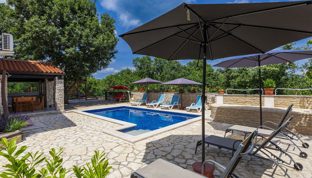 Haus mit 6 Schlafzimmern in Sveta Nedelja mit privater pool und garten - Foto 3