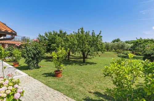Foto 28 - Appartamento con 1 camera da letto a Novigrad con giardino e terrazza