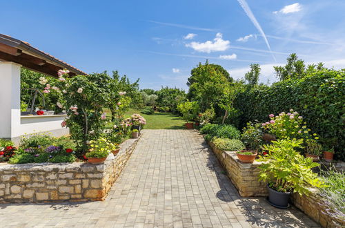 Foto 17 - Appartamento con 1 camera da letto a Novigrad con giardino e terrazza