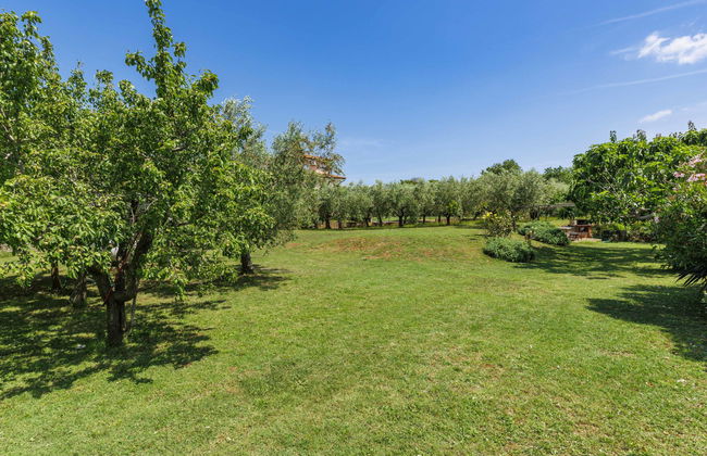 Apartamento de 2 quartos em Novigrad com jardim e terraço - Foto 29