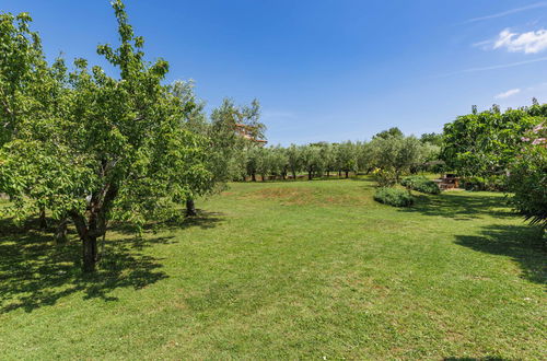 Foto 29 - Appartamento con 1 camera da letto a Novigrad con giardino e terrazza