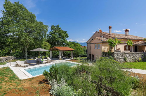 Foto 52 - Haus mit 4 Schlafzimmern in Kršan mit privater pool und garten
