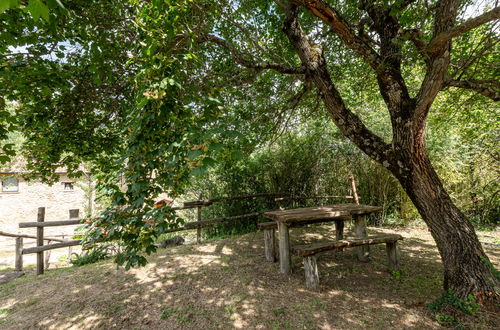 Photo 44 - Maison de 2 chambres à Montieri avec piscine et jardin