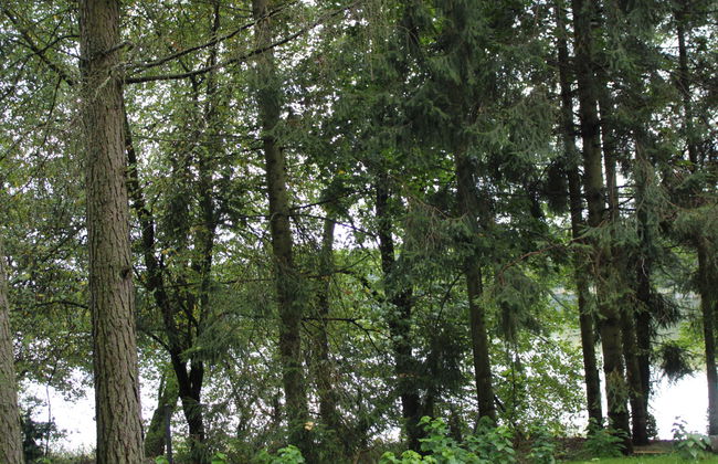 Haus mit 3 Schlafzimmern in Augustów mit garten - Foto 35