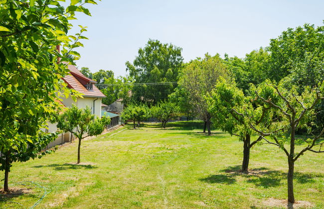 Casa de 2 quartos em Balatongyörök com jardim e terraço - Foto 22