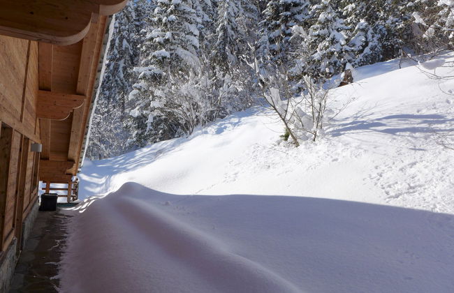 Chalet Astoria - Foto 67