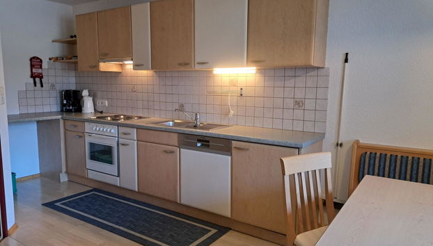 Apartamento de 1 quarto em Aschau im Zillertal com jardim e terraço - Foto 3