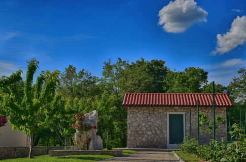Foto 20 - Casa de 3 habitaciones en Kršan con piscina privada y vistas al mar
