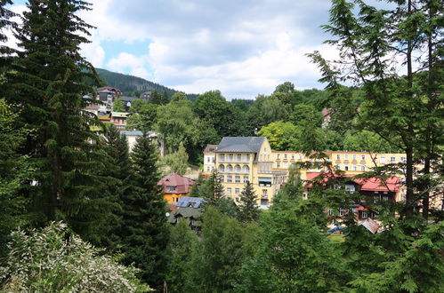 Foto 12 - Appartamento con 1 camera da letto a Janské Lázně con vista sulle montagne