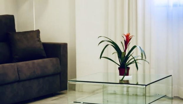 Domus Apartamentos 4 - Foto 4