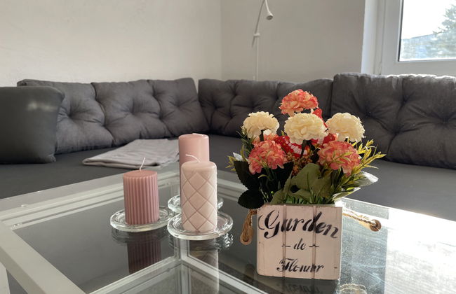 Apartamento de 1 quarto em Trinwillershagen com jardim e terraço - Foto 7