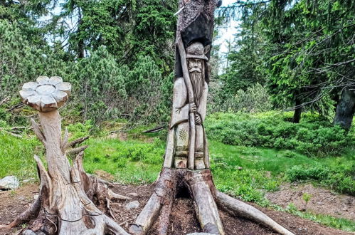 Foto 45 - Appartamento con 1 camera da letto a Janské Lázně con vista sulle montagne