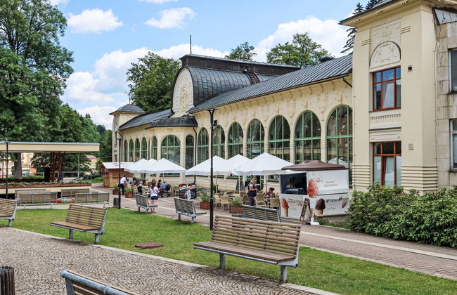 Apartamento de 2 quartos em Janské Lázně com terraço - Foto 43