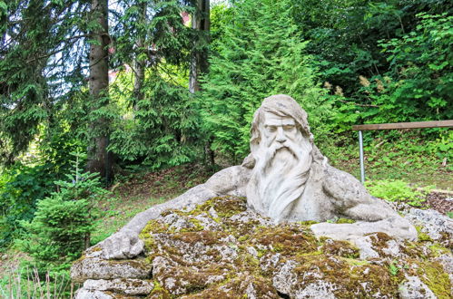 Foto 40 - Apartamento de 1 quarto em Janské Lázně com vista para a montanha