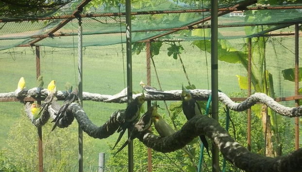 Agriturismo Bosco Del Gal - Foto 5