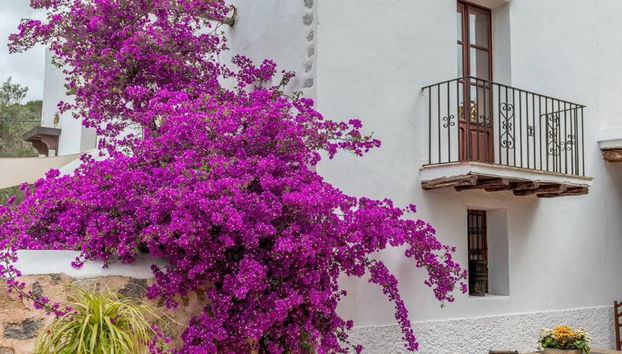 Agroturismo Can Pere Sord - Foto 4