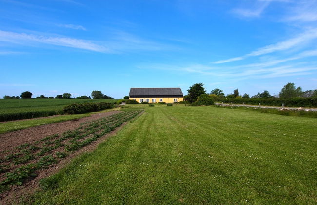 Casa de 3 quartos em Tranekær com terraço - Foto 5