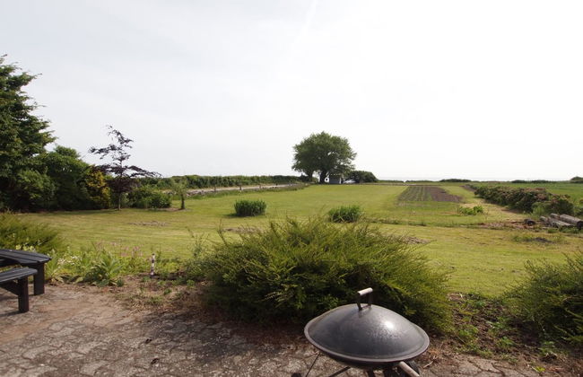 Casa de 3 quartos em Tranekær com terraço - Foto 34
