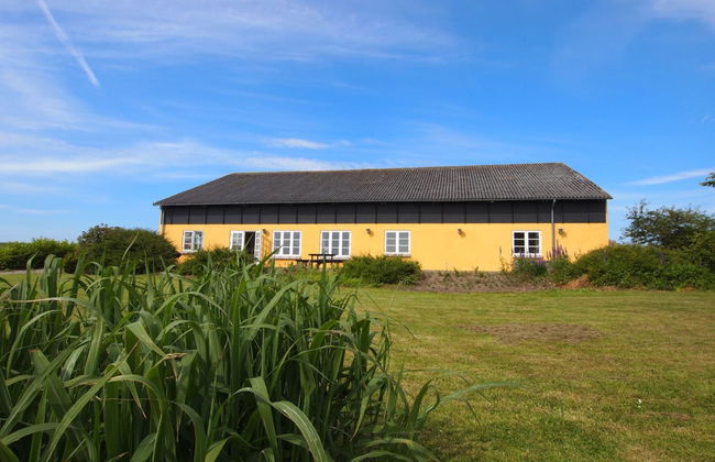 Casa de 3 quartos em Tranekær com terraço - Foto 1