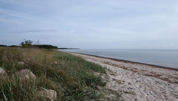 Haus mit 3 Schlafzimmern in Tranekær mit terrasse - Foto 4