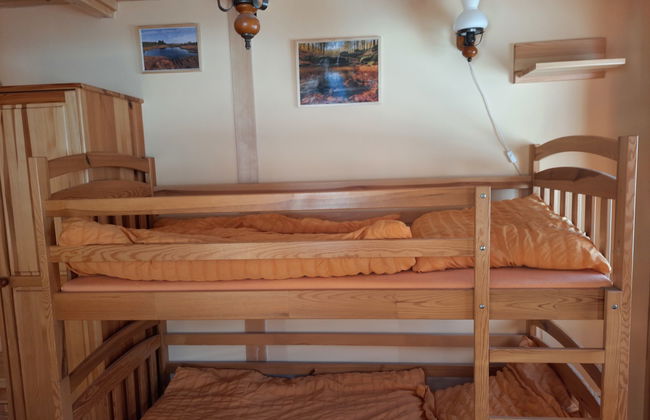 Casa de 4 quartos em Desná com jardim e sauna - Foto 27