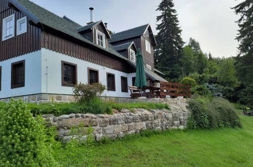 Photo 42 - Maison de 4 chambres à Desná avec jardin et sauna