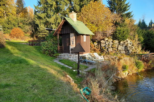 Foto 40 - Haus mit 4 Schlafzimmern in Desná mit garten und sauna