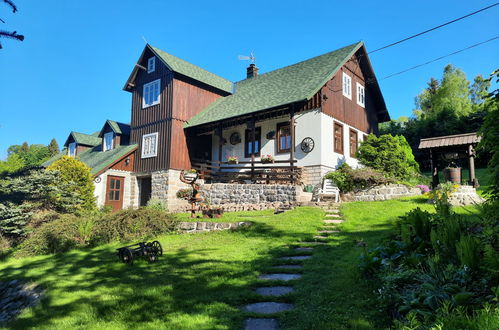 Photo 34 - Maison de 4 chambres à Desná avec jardin et sauna