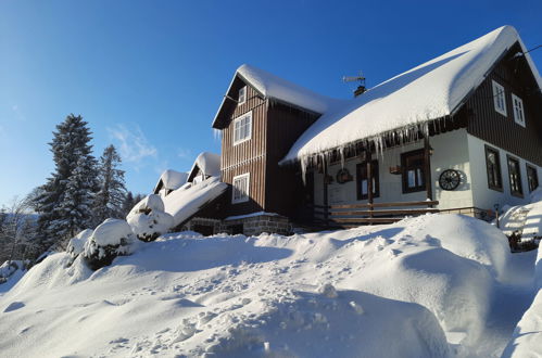 Foto 51 - Casa con 4 camere da letto a Desná con giardino e sauna