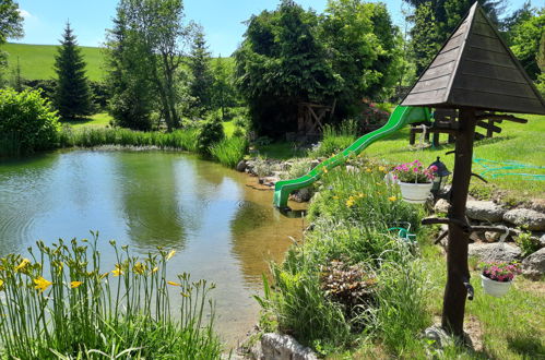 Foto 43 - Casa con 4 camere da letto a Desná con giardino e sauna