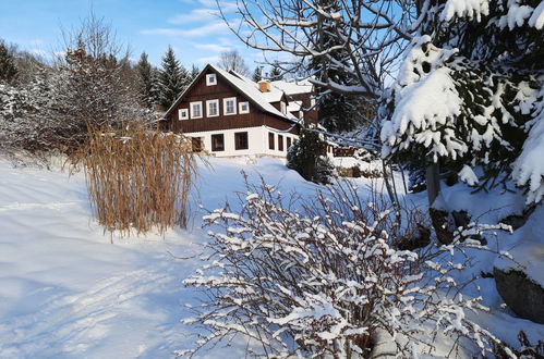 Foto 50 - Haus mit 4 Schlafzimmern in Desná mit garten und sauna