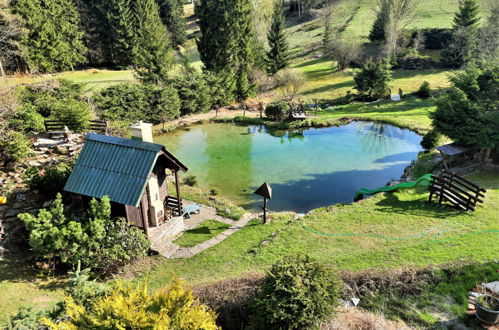 Foto 38 - Casa de 4 quartos em Desná com jardim e sauna