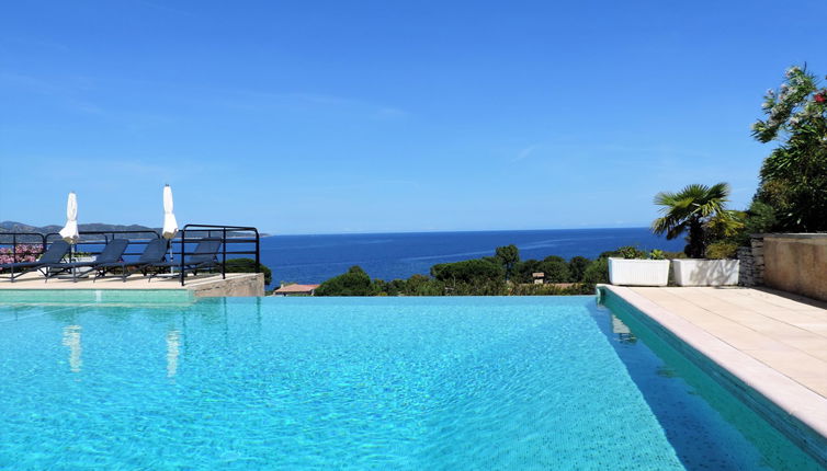 Photo 1 - Appartement de 1 chambre à Saint-Florent avec piscine et jardin