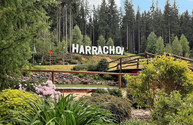 Apartamento de 1 quarto em Harrachov com sauna - Foto 29