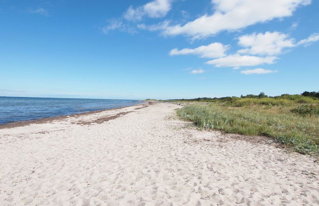 Casa de 3 quartos em Tranekær com terraço - Foto 4