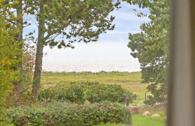 Casa de 3 quartos em Tranekær com terraço - Foto 31