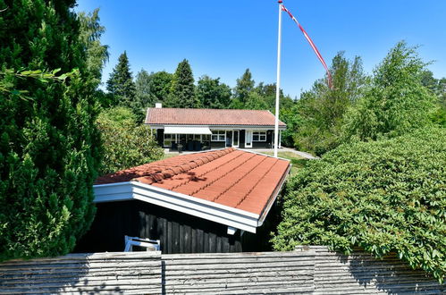 Photo 2 - Maison de 2 chambres à Hornbæk avec terrasse