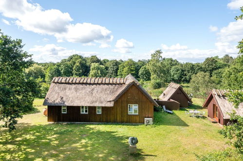 Photo 27 - Maison de 2 chambres à Hornbæk avec terrasse