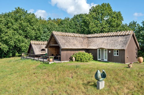 Photo 1 - Maison de 2 chambres à Hornbæk avec terrasse