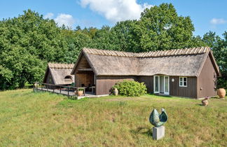 Photo 1 - Maison de 2 chambres à Hornbæk avec terrasse