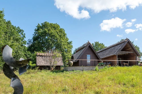 Photo 2 - Maison de 2 chambres à Hornbæk avec terrasse