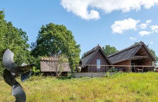 Photo 2 - Maison de 2 chambres à Hornbæk avec terrasse