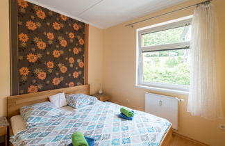 Foto 3 - Appartamento con 1 camera da letto a Janské Lázně con vista sulle montagne